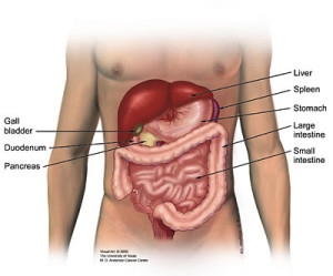 AcupunctureInternal