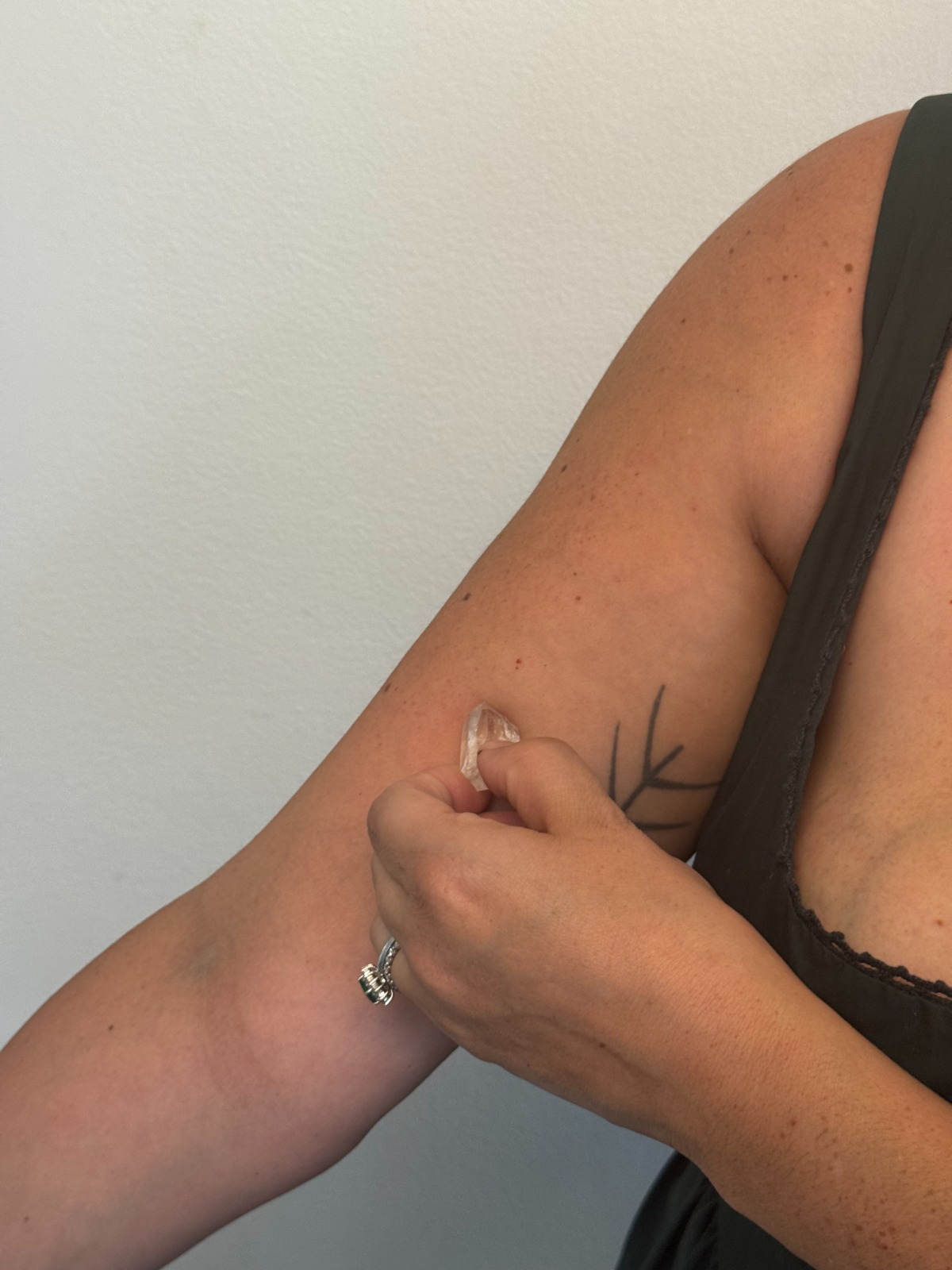 Moving selenite along the inner arm toward Lung 11