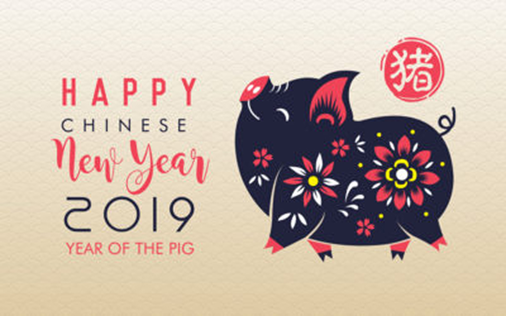 Happy Chinese New Year 2019 Year of the Pig